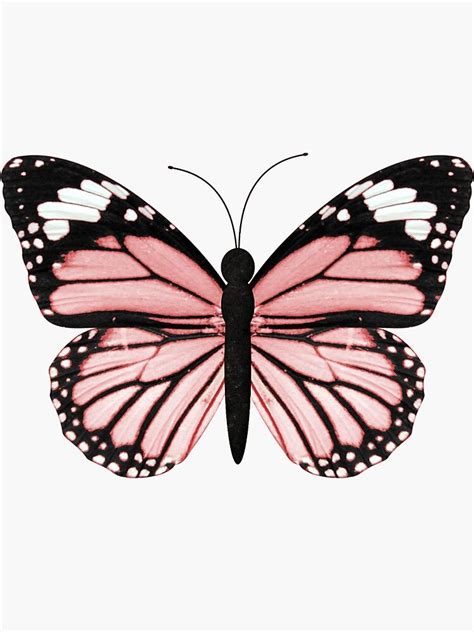 Light pink butterfly sticker by emmagsheehan – Artofit