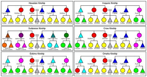 12.1D: Kinship Patterns - Social Sci LibreTexts