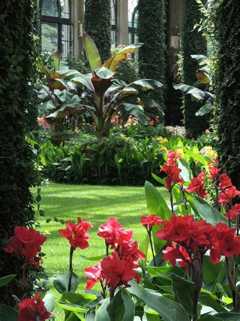 orangery Bali Garden, Balinese Garden, Dream Garden, Diy Garden, Tropical Backyard Landscaping ...