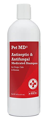 6 Best Ringworm Shampoo for Dogs [2020] with Buying Guide