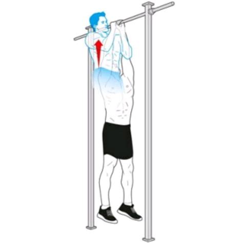 Commando Pull Up by Fraser Duff - Exercise How-to - Skimble