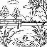 A coloring Page Of Peaceful Lake With Swans Reeds And Wooden dock  sketch template