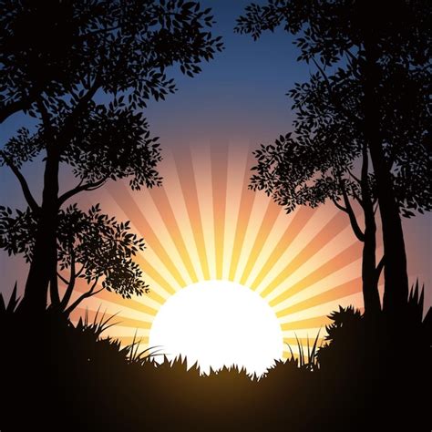 Premium Vector | Nature background with sunrise in forest