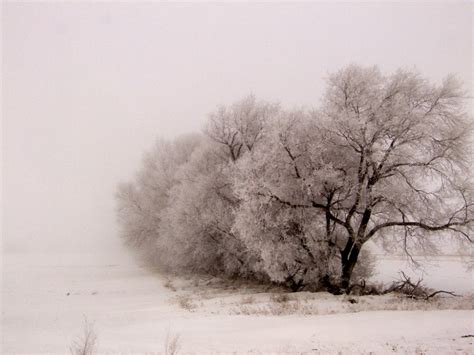 The Bleak Midwinter: Why Sad Music at this Time of the Year?