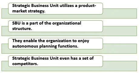 Full Form of SBU - What Is It, Characteristics, Types, Examples