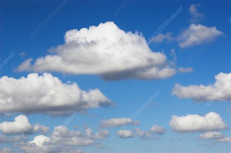 Cumulus Mediocris Clouds - Stock Image - C006/5563 - Science Photo Library