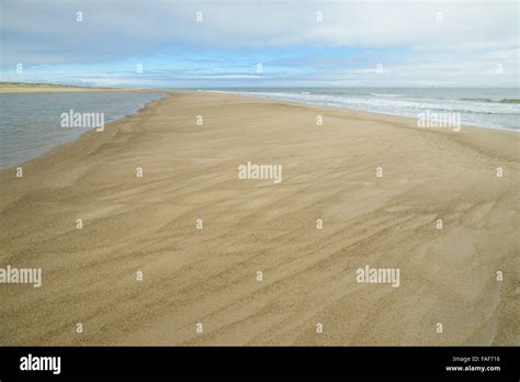 Nature and wildlife of the northern part of Sakhalin Island, Russia. Landscapes, seascapes ...