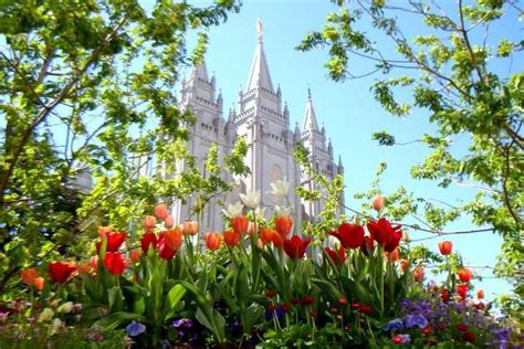 LDS Church announces new online system for temple prayer rolls ...