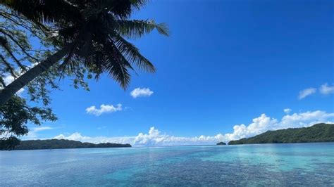 Diving in Palau- useful information for exploring the underwater world