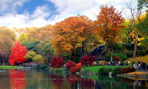 Central Park in Autumn | Shutterbug