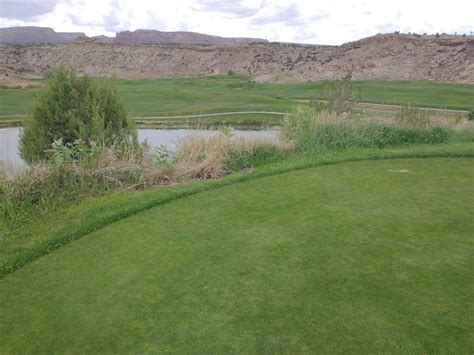 Western Colorado Wildlife at Redlands Mesa Golf Course - Redlands Mesa ...