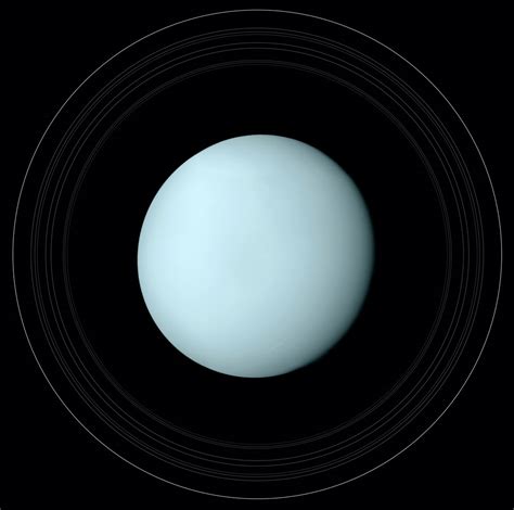 Uranus and Its Rings