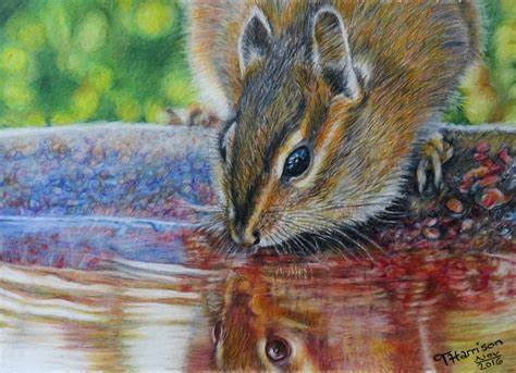 Terry Harrison - Watercolor pencils and colored pencils | Toned paper art, Color pencil drawing ...