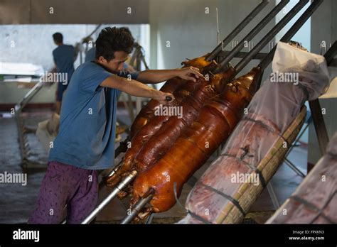 Baboy Stock Photos & Baboy Stock Images - Alamy