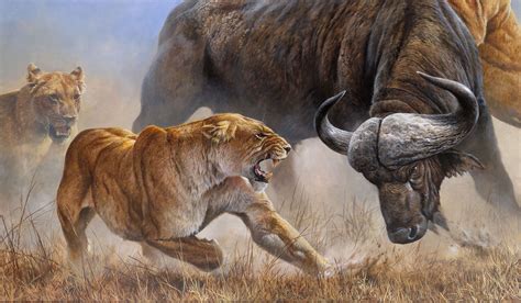 Painting by Andrew Ellis | Big cats art, Wildlife artists, Hunting art