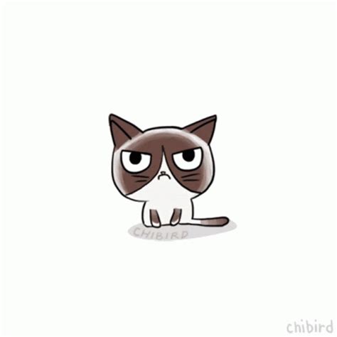 Grumpy Cat GIF - Grumpy Cat - Discover & Share GIFs