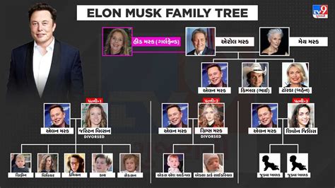 Elon Musk Family Tree : મસ્ક બાળકોની બાબતમાં લાલુ પ્રસાદને પણ આપે છે ...