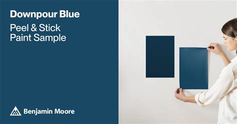 Downpour Blue Paint Sample by Benjamin Moore (2063-20) | Peel & Stick Paint Sample