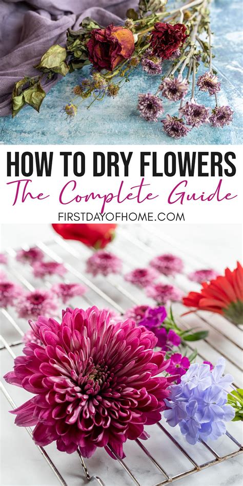 How To Dry Lavender Flowers In The Oven | Best Flower Site