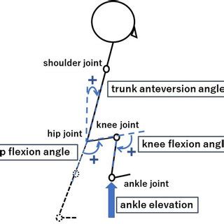 Measurement items. Ankle elevation: the difference between the foot ...