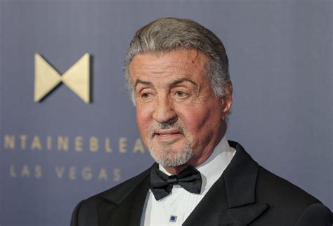 Sylvester Stallone Says ‘Don't Do Your Own Stunts' After ‘Expendables' Injury Led to Fractured ...