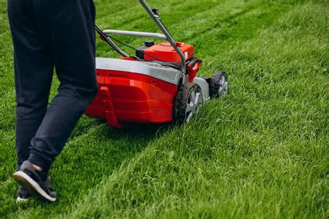 Electric lawn mower corded vs cordless | Types & pros and cons