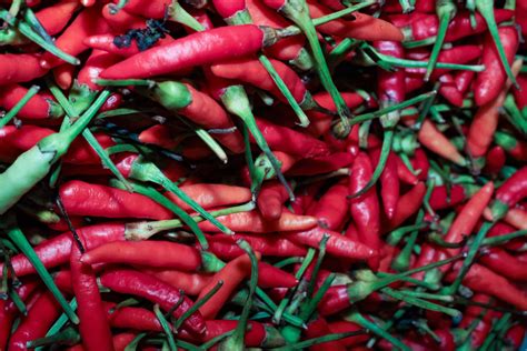 10 Types Of Hot Peppers - All Ranked - AZ Animals