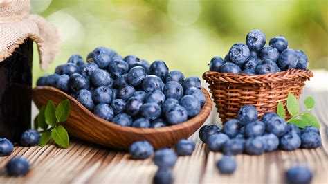 15 Types Of Blueberries And What Makes Them Unique