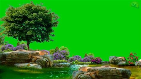 beautiful nature green screen HD background video in 2022 | Greenscreen, Beautiful nature, Hd ...