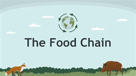 The Food Chain | Google Slides & PowerPoint