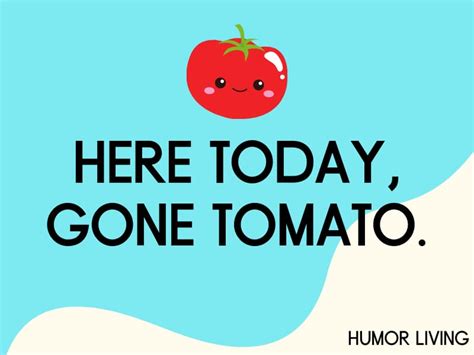 45+ Funny Tomato Puns Too Juicy to Skip - Humor Living