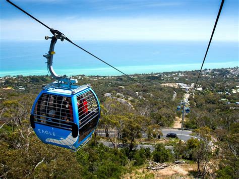 Arthurs Seat Eagle, Attraction, Mornington Peninsula, Victoria, Australia