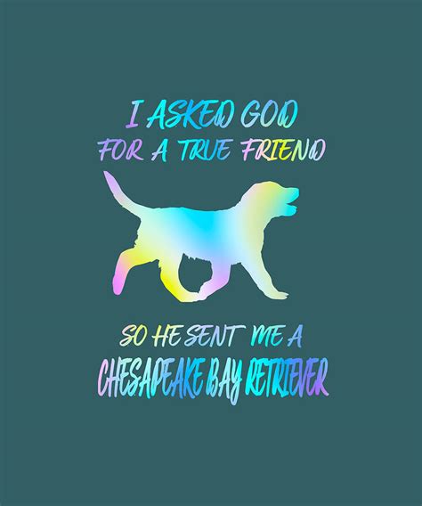 Chesapeake Bay Retriever God sent Digital Art by Job Shirts - Fine Art America