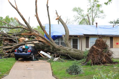 Avoid Storm Damage | Marietta Tree Service