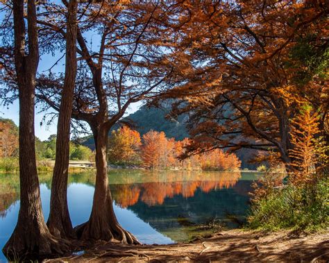 Fall color at Garner State Park TX - Photo by me : r/marijuanaenthusiasts