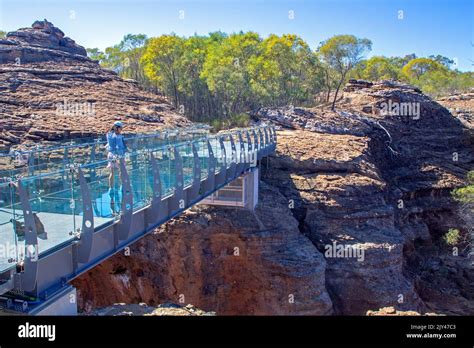 Crossing the glass bridge at Cobbold Gorge Stock Photo - Alamy