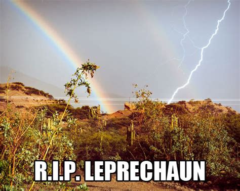 Funny Leprechaun Quotes. QuotesGram