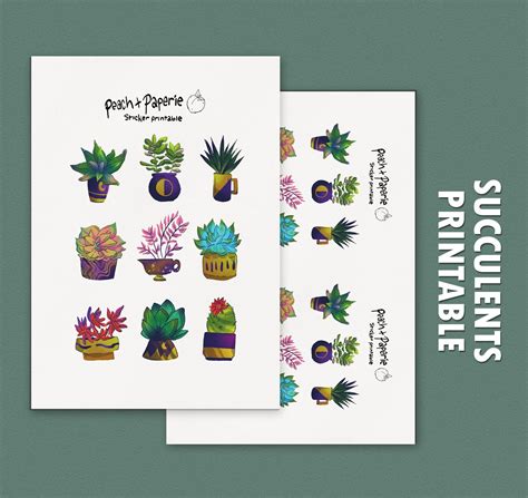 Succulent Stickers Printable Stickers Digital Stickers Bullet Journal ...