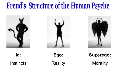 Id, Ego, & Superego | Freud & Examples