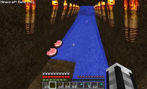 pig lava trap Minecraft Map