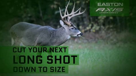 Easton Bowhunting Axis Carbon Arrows TV Spot, 'Long Shot' - iSpot.tv