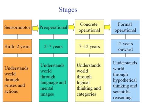 Jean Piaget Stages Of Development Pdf Clearance | ladorrego.com.ar