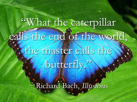 Quotes On Caterpillar Becoming Butterfly - flexmoms