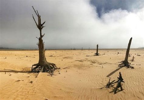 Wow.... Belanda Deklarasi Kelangkaan Air Dua Pekan ke Depan - Derak Post