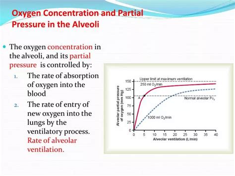 PPT - Oxygen Concentration and Partial Pressure in the Alveoli PowerPoint Presentation - ID:2244824