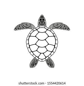 27+ Turtle Simple Drawing - DariusVilho