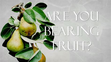 Are You Bearing Fruit? – Bible Baptist Church