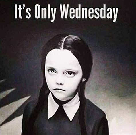 The Addams Family ~ It's Only Wednesday | Funny wednesday memes, Wednesday memes, Wednesday humor