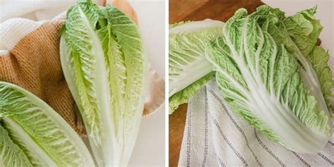 Napa Cabbage vs Romaine Lettuce: The Ultimate Veggie Showdown ...