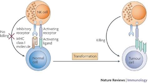 Early Cancer Detection Company, Grail, Led by Former Google VP – Ashley ...